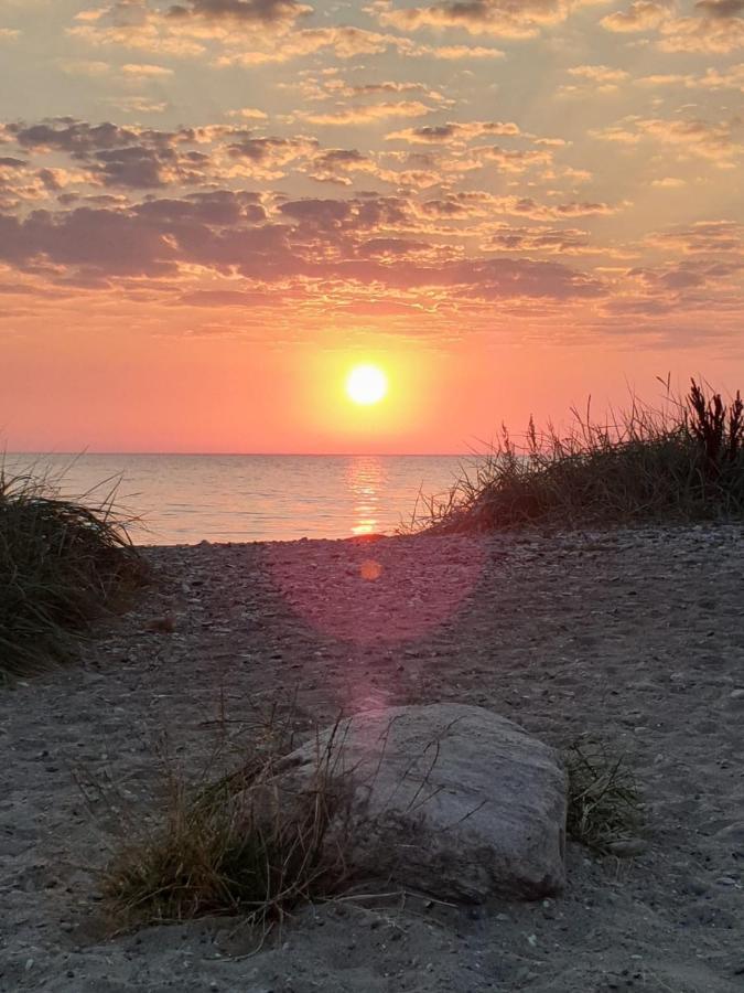 Appartamento Fewo Mit Meerblick - Direktzugang Zur Nordsee Wilhelmshaven Esterno foto