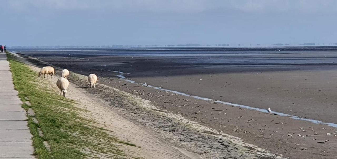 Appartamento Fewo Mit Meerblick - Direktzugang Zur Nordsee Wilhelmshaven Esterno foto